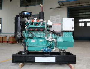 30kw natural gas unit