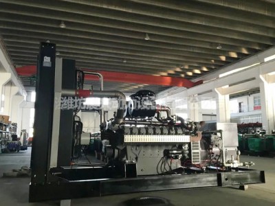 威曼动力D30燃气发动机