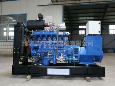 80千瓦沼气机组