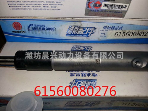 61560080276喷油器总成